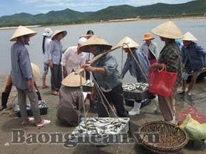 Ngư dân thị xã Cửa Lò Nghệ An được mùa cá biển sau Tết